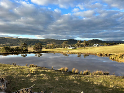 Letters from Logie Farm