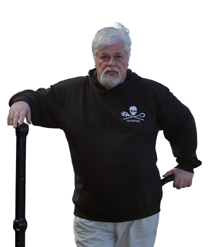 Sea Shepherd Jolly Roger Unisex Pullover Hoodie