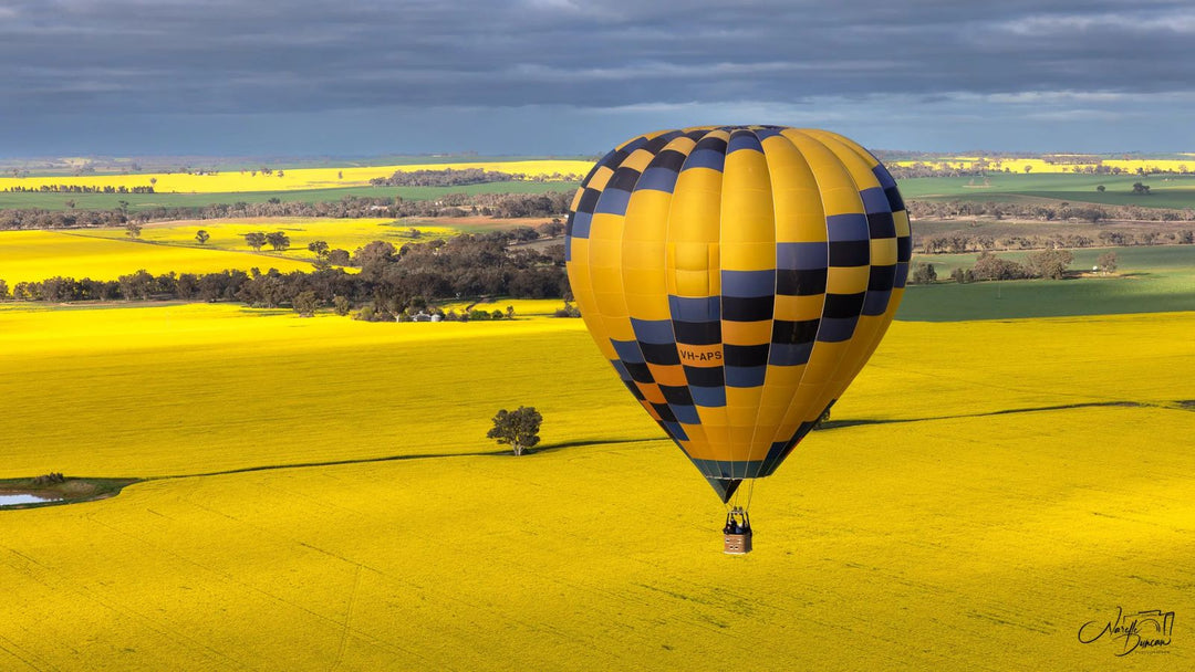 Go Wild In Canola Country With These 3 Unusual Adventures