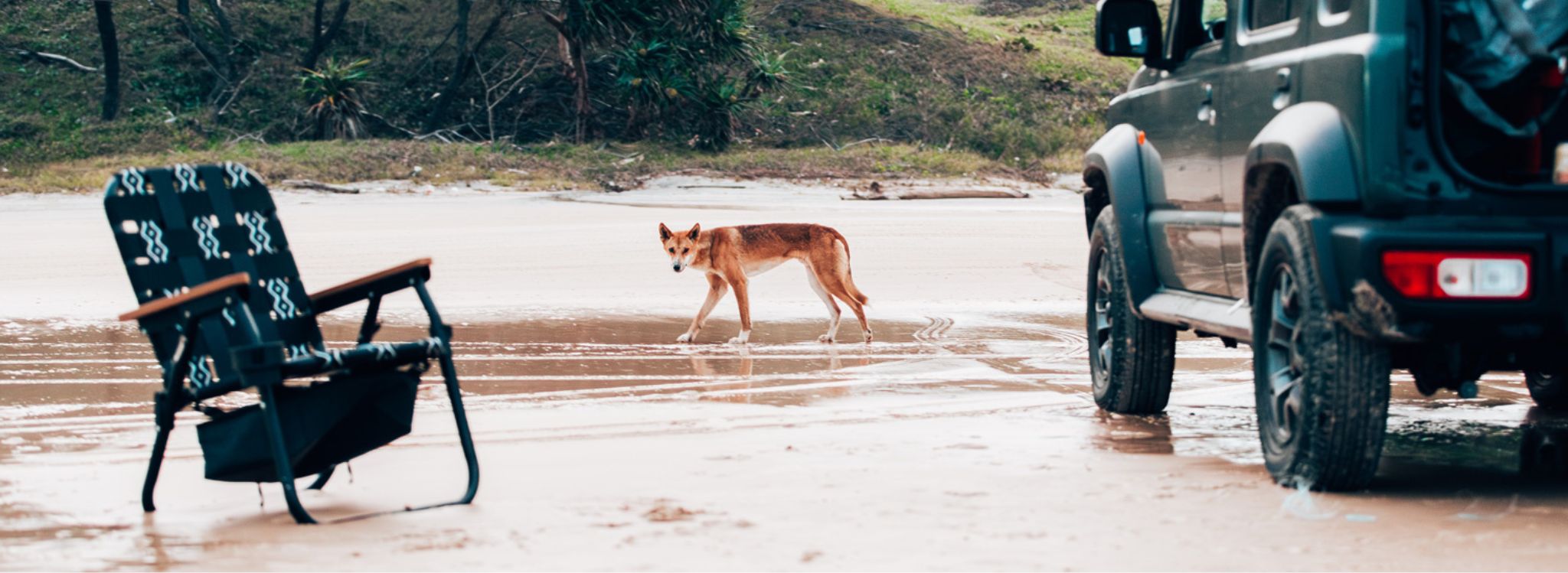 The Captain tried to steal our chairs...