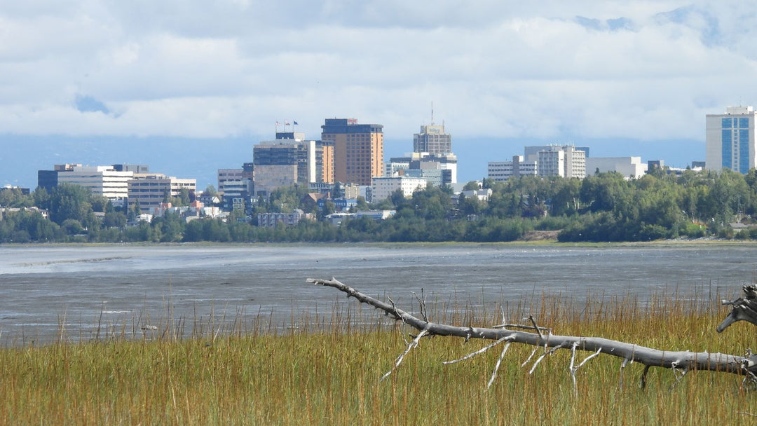 Adventure To Alaska: 24 Hours At Anchorage - Gowings Pacific Trader