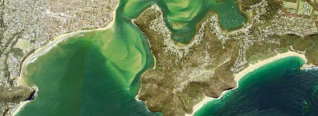 Desktop Scouting - Gowings Pacific Trader