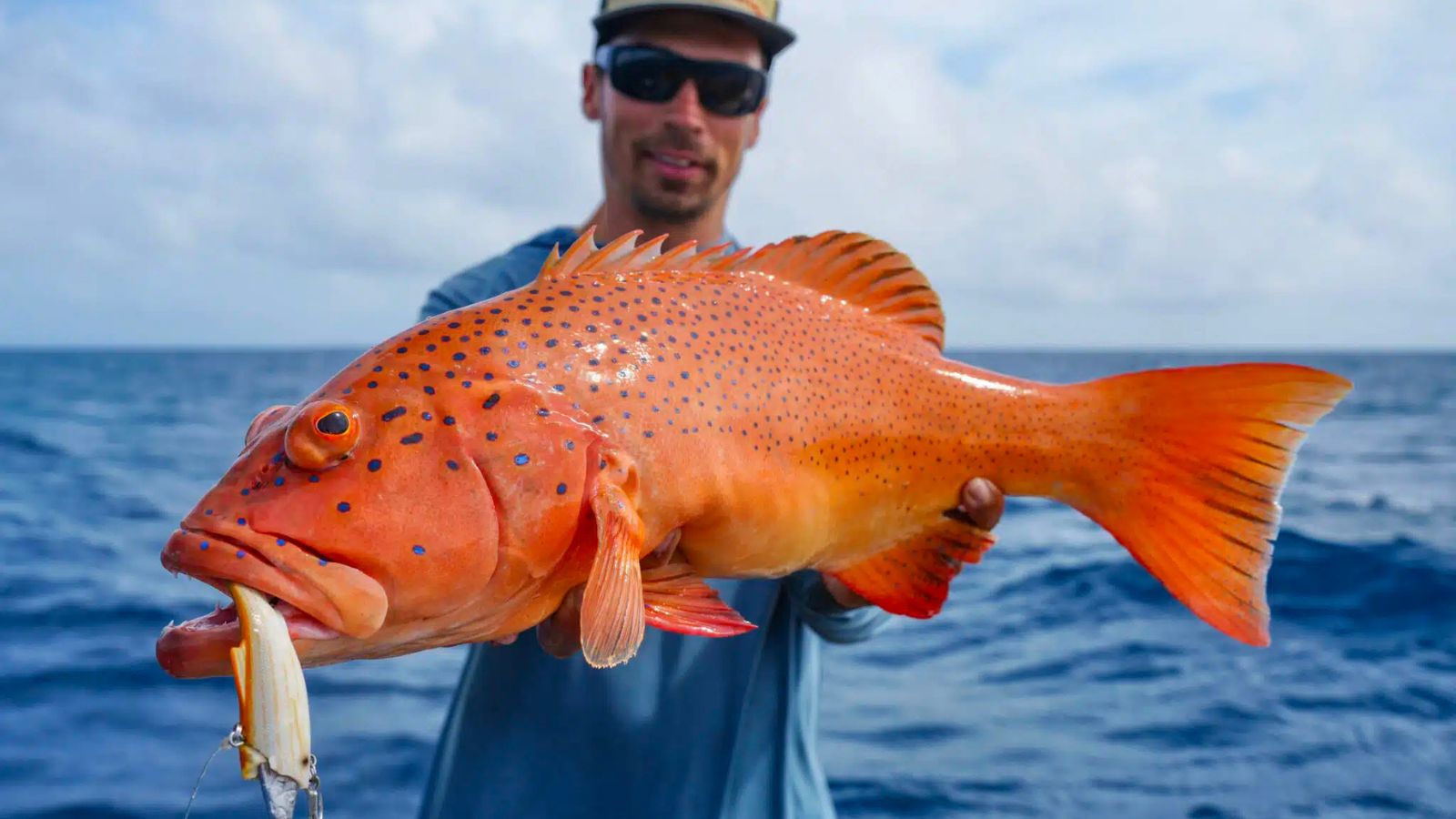 Offshore Soft Vibing - Gowings Pacific Trader