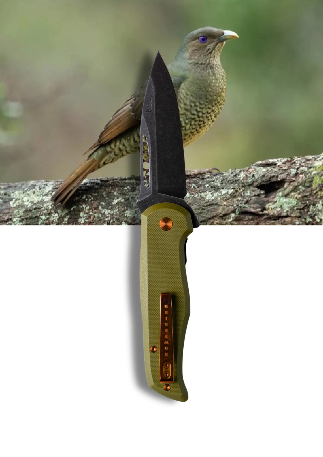 Koi Knives "Bek" | The Bowerbird Female