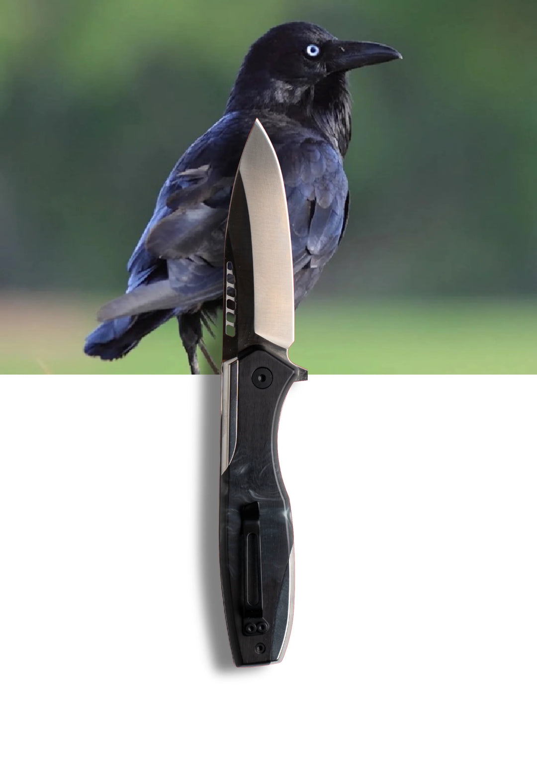 Koi Knives "Chris" | The Crow