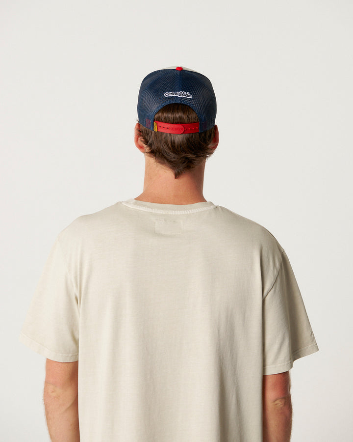 TCSS Business Trucker