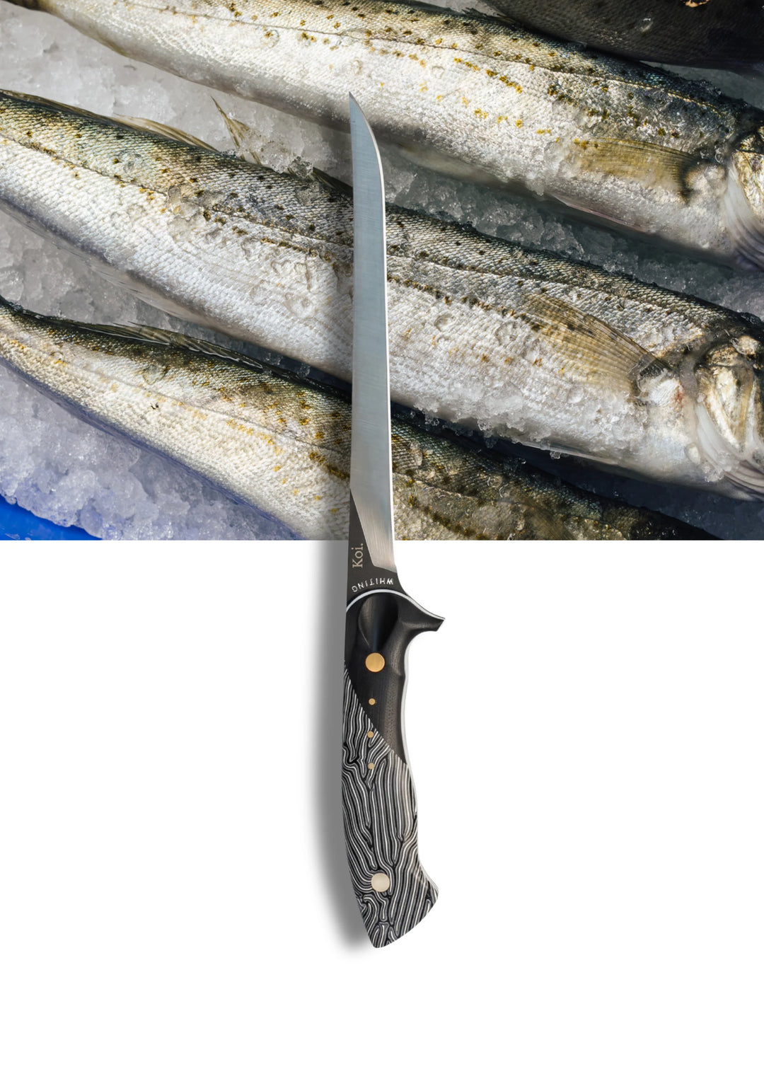 Koi Knives Filleting Knife | The King George Whiting