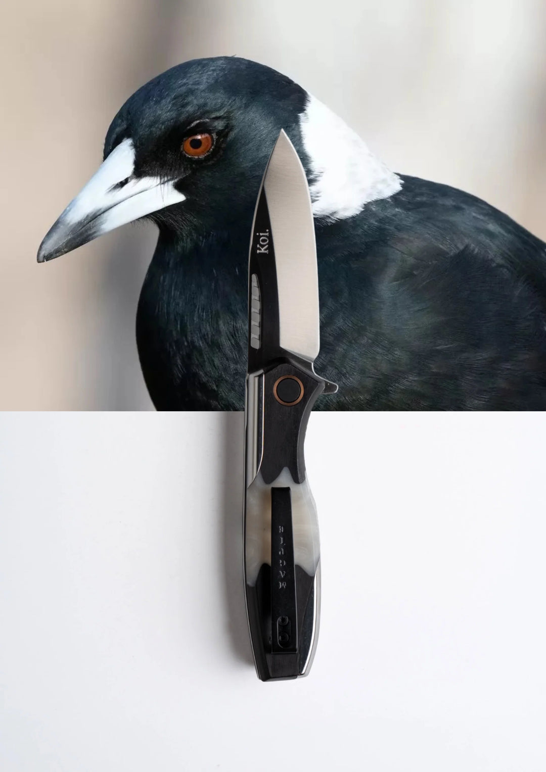 Koi Knives "Max" | The Magpie