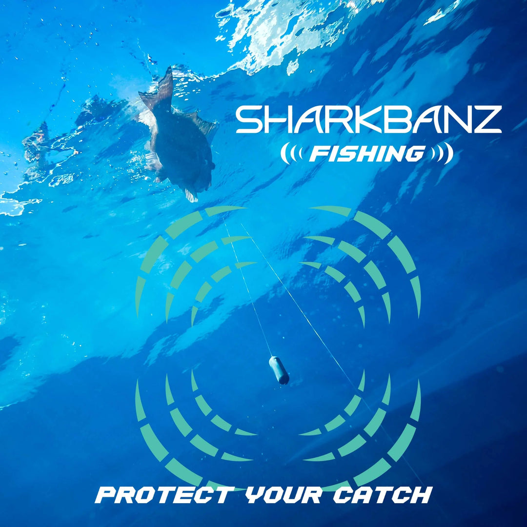Sharkbanz Zeppelin - Gowings Pacific Trader