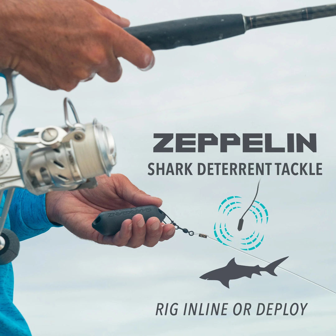 Sharkbanz Zeppelin - Gowings Pacific Trader