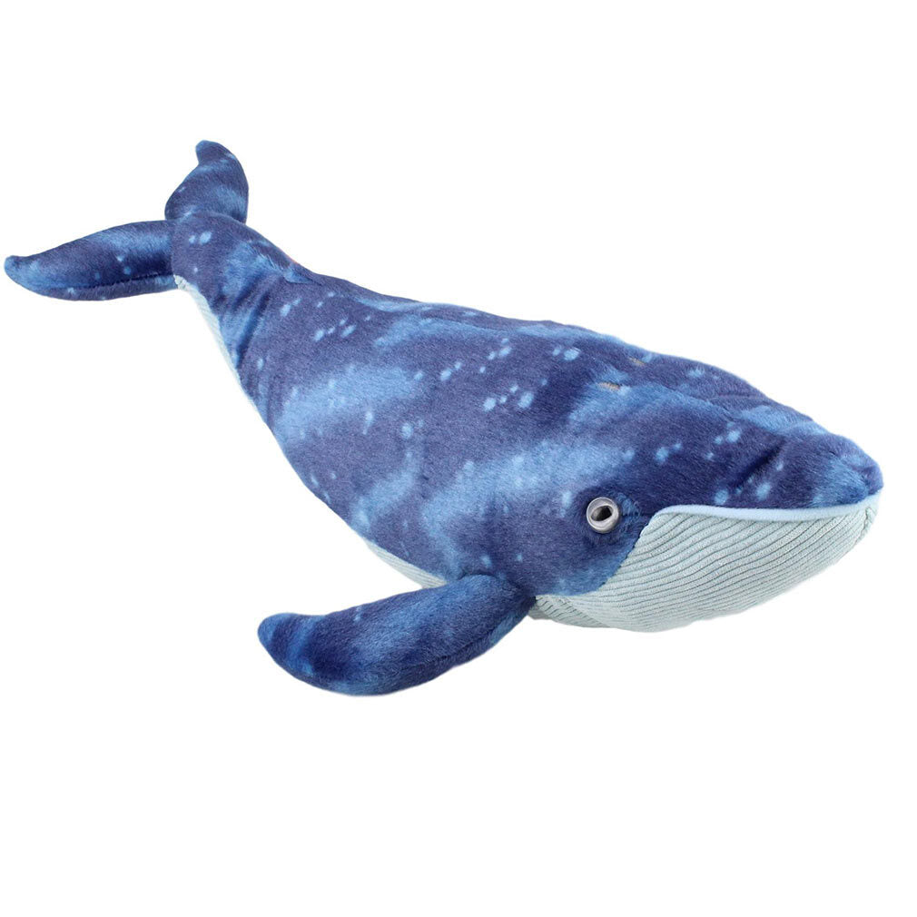 Blue Whale